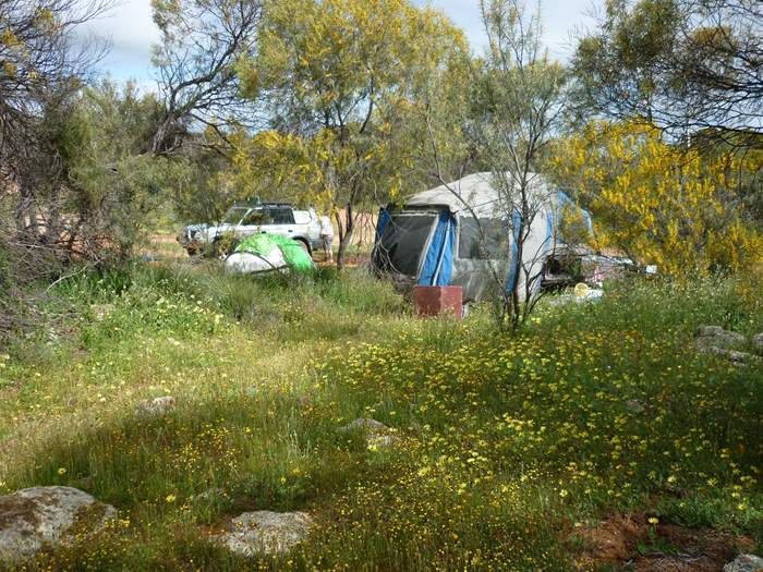 Campsite at Petrudor Rocks